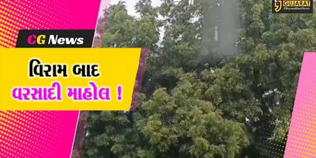 ભરૂચ: લાંબા સમયના વિરામ બાદ ફરી વરસાદી માહોલ