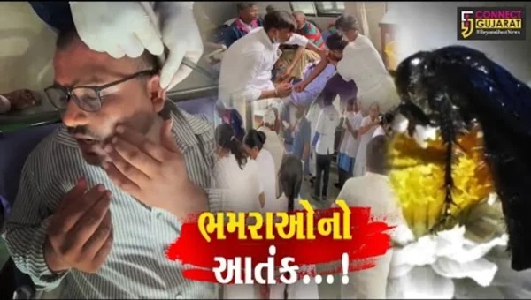 અરવલ્લી : ભિલોડાના કમઠાડિયા ગામે સ્મશાનમાં ભમરાનું ઝુંડ ત્રાટક્યું