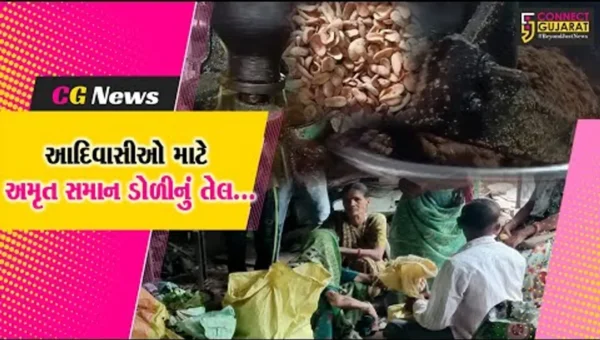 ભરૂચ : મોંઘાદાટ ખાદ્યતેલ સામે ઝઘડીયા પંથકના આદિવાસીઓ માટે આર્શિવાદરૂપ બન્યું મહુડા-ડોળીનું તેલ…
