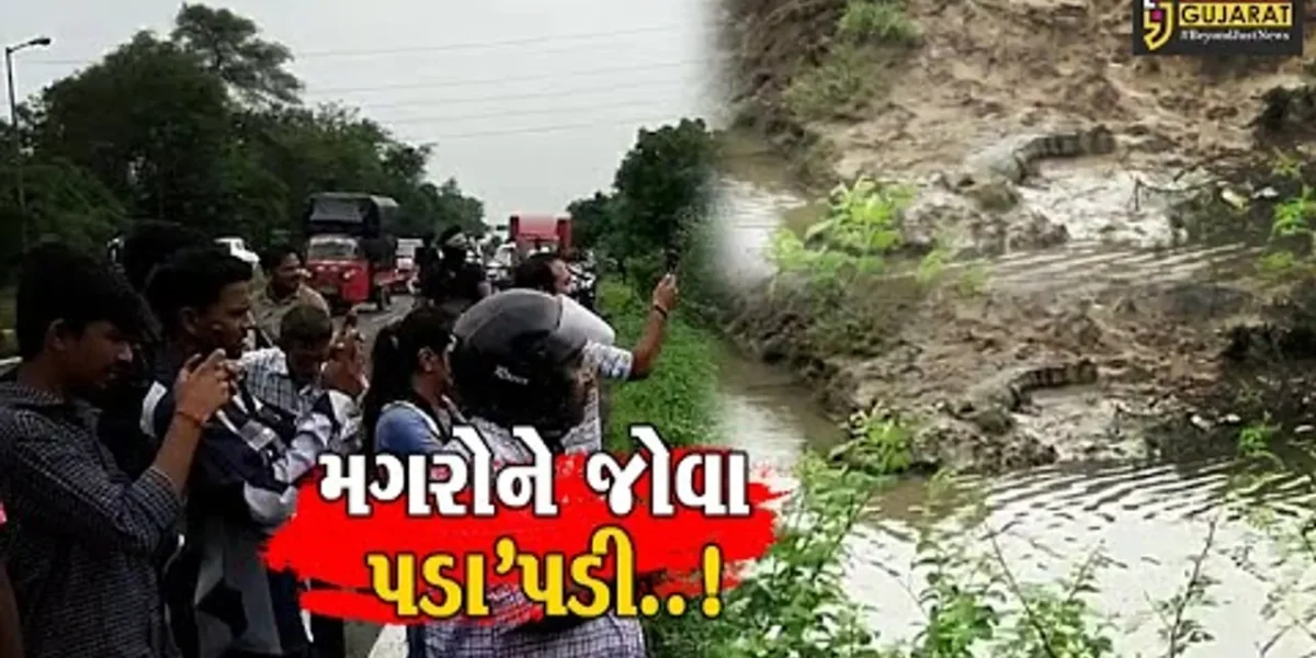 અંકલેશ્વર : જૂના છાપરા પાટિયા નજીક ખાડી વિસ્તારમાં 2 મહાકાય મગર નજરે ચડતા લોકોમાં કુતૂહલ..!