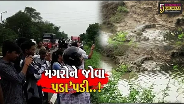 અંકલેશ્વર : જૂના છાપરા પાટિયા નજીક ખાડી વિસ્તારમાં 2 મહાકાય મગર નજરે ચડતા લોકોમાં કુતૂહલ..!