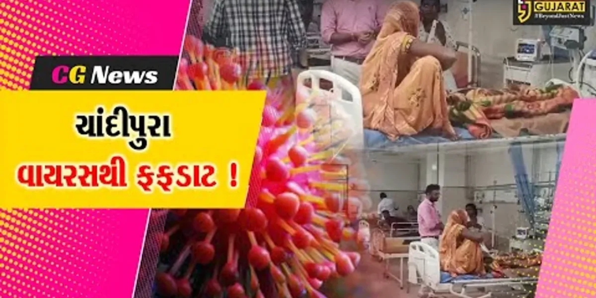 સાબરકાંઠા: હિંમતનગર સિવિલમાં ચાંદીપુરા વાયરસના વધુ 5 શંકાસ્પદ કેસ