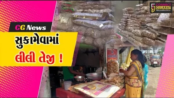 અંકલેશ્વર: અલુણાવ્રત પૂર્વે સૂકામેવાના ભાવમાં વધારો, ભાવ 20%,વધ્યા
