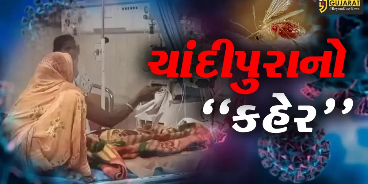 ચાંદીપુરાનો કહેર : 21 બાળકોના મોત નિપજતા રાજ્ય સરકારની ચિંતામાં વધારો
