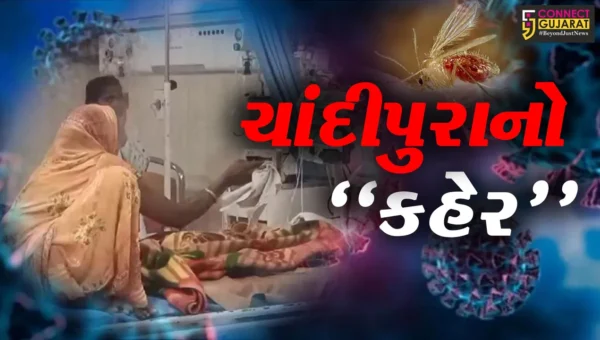 ચાંદીપુરાનો કહેર : 21 બાળકોના મોત નિપજતા રાજ્ય સરકારની ચિંતામાં વધારો