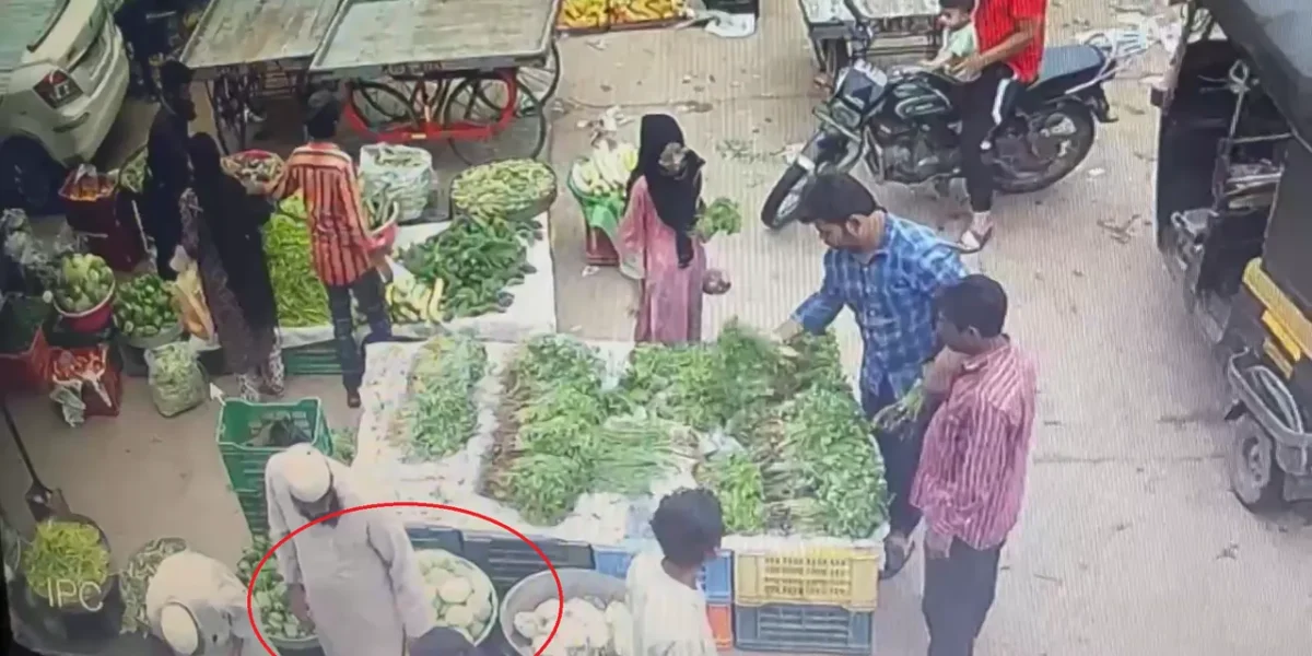 ભરૂચ:  શાકમાર્કેટમાંથી મોબાઇલની ઉઠાંતરી કરતા ગઠિયા CCTV કેમેરામાં કેદ