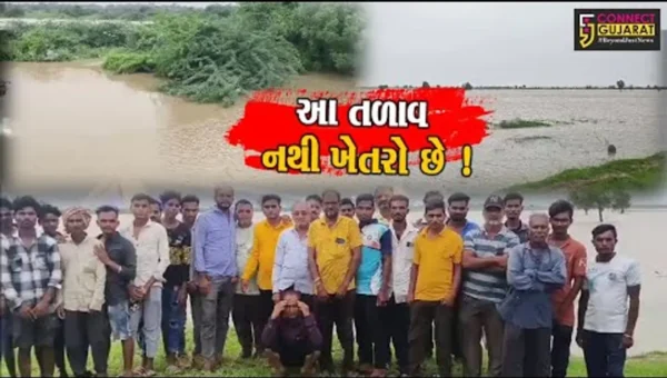 ભરૂચ: વાગરાને ભેરસમ પંથકના ખેતરો પાણીથી તળાવ બન્યા, ઉદ્યોગોના કારણે પાણીનો નિકાલ ન થતો હોવાના આક્ષેપ