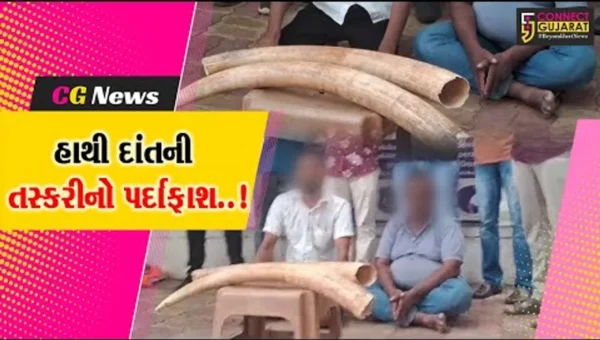 વડોદરા : લાખોની કિંમતના હાથી દાંતની તસ્કરીનો પર્દાફાશ, SOG પોલીસે કરી 2 શખ્સોની ધરપકડ…