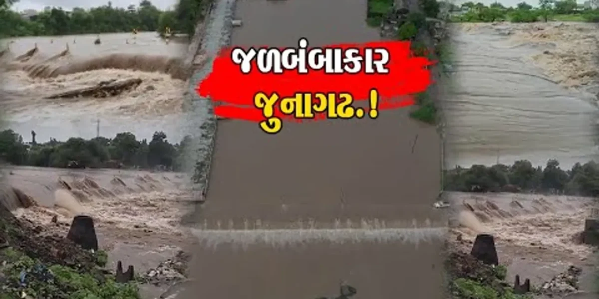 જૂનાગઢ: સતત વરસી રહેલા વરસાદથી ઘેડ પંથકમાં અત્ર તત્ર સર્વત્ર જળ જ જળ