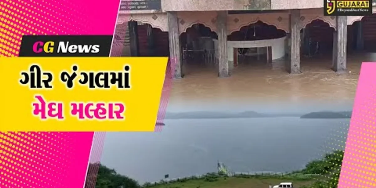 ગીર સોમનાથ : જિલ્લામાં સારા વરસાદથી જળાશયોમાં થઈ નવા નીરની આવક