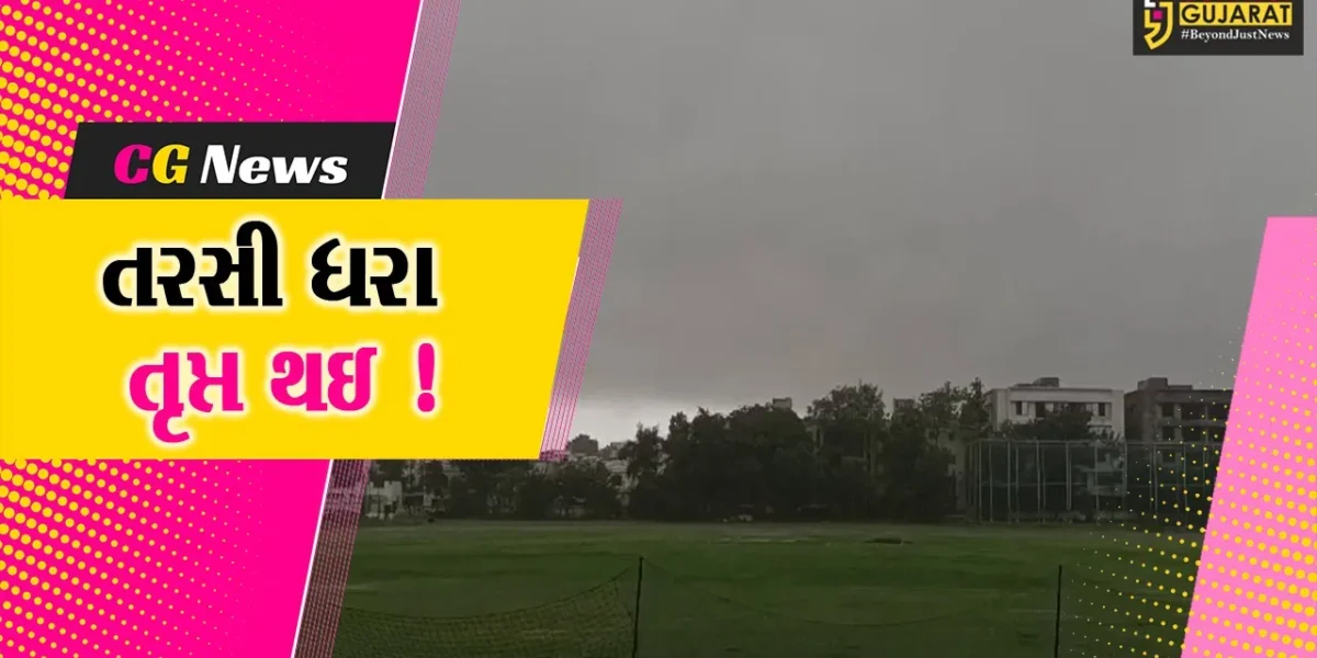 ભરૂચ: 4 ઇંચ વરસાદથી ભૃગુધરા તરબોળ, 9 તાલુકાની ભૂમિ પણ તૃપ્ત થઈ
