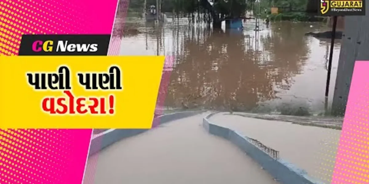 વડોદરા: વિશ્વામિત્રી નદીનું જળસ્તર વધતા શહેર પાણી પાણી થયું..