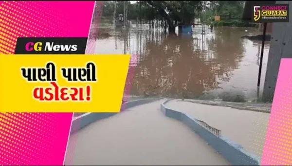 વડોદરા: વિશ્વામિત્રી નદીનું જળસ્તર વધતા શહેર પાણી પાણી થયું..
