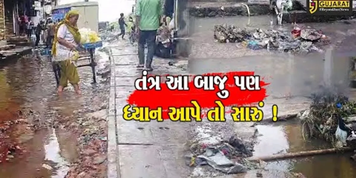 ભરૂચમાં વરસાદી પાણી તો ઓસરી ગયા પણ આ ગંદકી કોણ સાફ કરશે?
