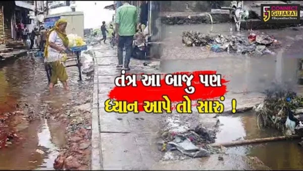 ભરૂચમાં વરસાદી પાણી તો ઓસરી ગયા પણ આ ગંદકી કોણ સાફ કરશે?