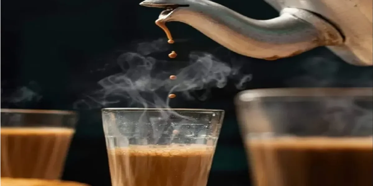 ચા પીવાના શોખીનો આટલું તમારે જાણવું આવશ્યક
