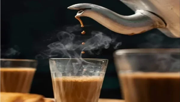 ચા પીવાના શોખીનો આટલું તમારે જાણવું આવશ્યક