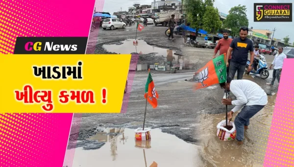 ભરૂચ : નેત્રંગમાં જ્યાં જુઓ ત્યાં બિસ્માર માર્ગો પર કમળ ખીલ્યા