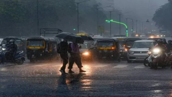 ભરૂચ: વરસાદે લીધો વિરામ, 9 પૈકી માત્ર નેત્રંગ તાલુકામાં 10 મી.મી.વરસાદ