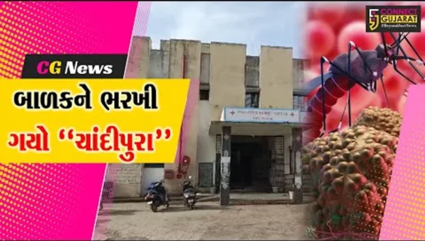 ભરૂચ : નેત્રંગના ખરેઠા ગામે શંકાસ્પદ ચાંદીપુરાથી 3 વર્ષના બાળકનું મોત, ધાણીખૂંટના બાળકનો રિપોર્ટ નેગેટિવ