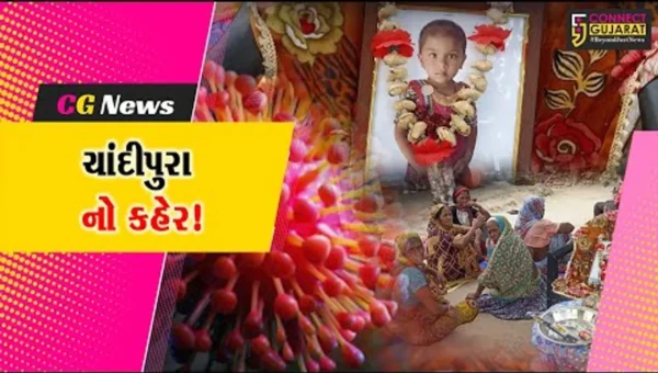 સુરેન્દ્રનગર: ખારાઘોડામાં 5 વર્ષની બાળકીનું શંકાસ્પદ ચાંદીપુરા વાયરસથી મોત