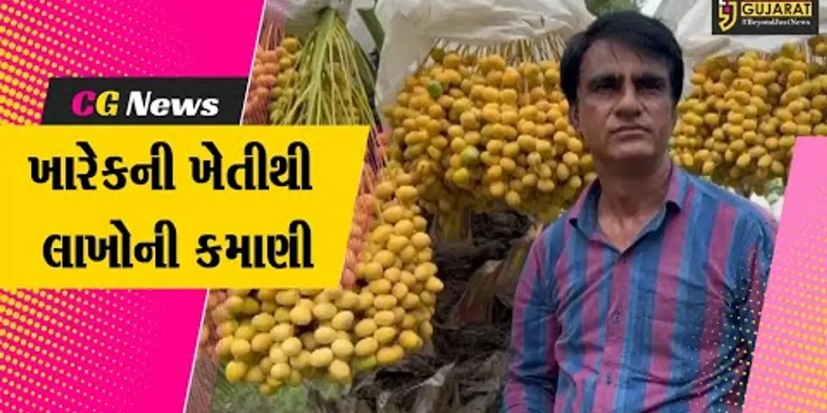અરવલ્લી ધનસુરાના આકરૂન્દના ખેડૂતની પ્રાકૃતિક ખેતી, ખારેકની ખેતીમાં મબલખ ઉત્પાદન