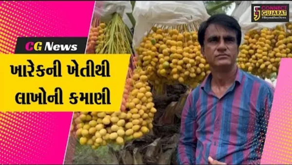 અરવલ્લી ધનસુરાના આકરૂન્દના ખેડૂતની પ્રાકૃતિક ખેતી, ખારેકની ખેતીમાં મબલખ ઉત્પાદન