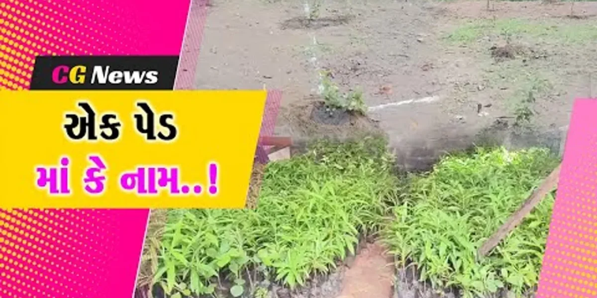 જૂના બોરભાઠા ગામે ૐ તપોવન આશ્રમ ખાતે ગુરુ પૂર્ણિમા પર્વની અનોખી ઉજવણી