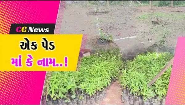 જૂના બોરભાઠા ગામે ૐ તપોવન આશ્રમ ખાતે ગુરુ પૂર્ણિમા પર્વની અનોખી ઉજવણી