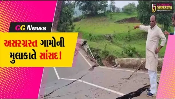 નેત્રંગ: ધોધમાર વરસાદના કારણે અસરગ્રસ્ત થયેલા ગામોની સાંસદે મુલાકાત કરી