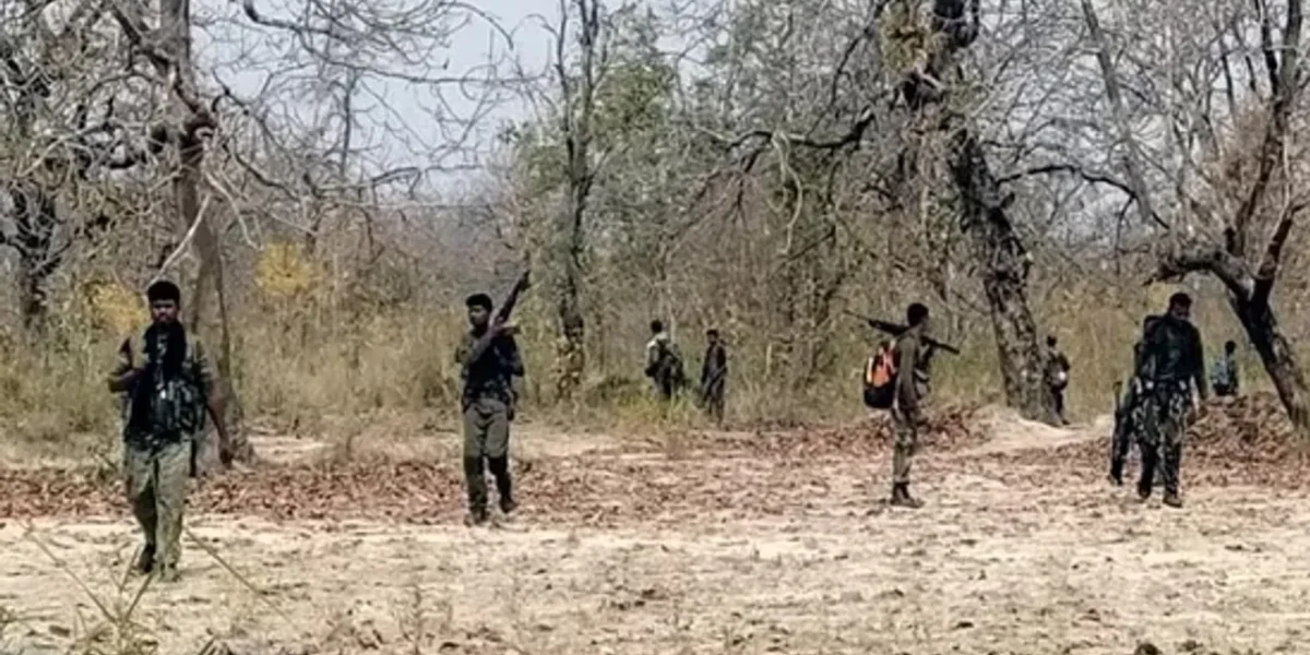 છત્તીસગઢમાં નક્સલી હુમલામાં બે જવાન શહીદ