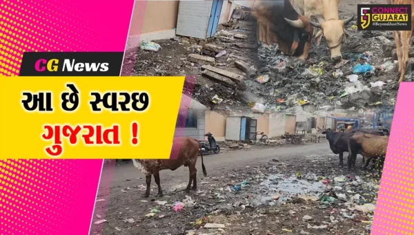 વેરાવળ નગરમાં ઠેર ઠેર ગંદકીનું સામ્રાજ્ય, પાલિકા નિરાકરણમાં નિષ્ફળ !