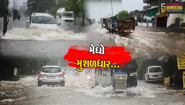 વડોદરા : અ’વિરત વરસાદના પગલે ઠેર ઠેર જળ બંબાકારની પરિસ્થિતી, નીચાણવાળા વિસ્તારોમાં એલર્ટ