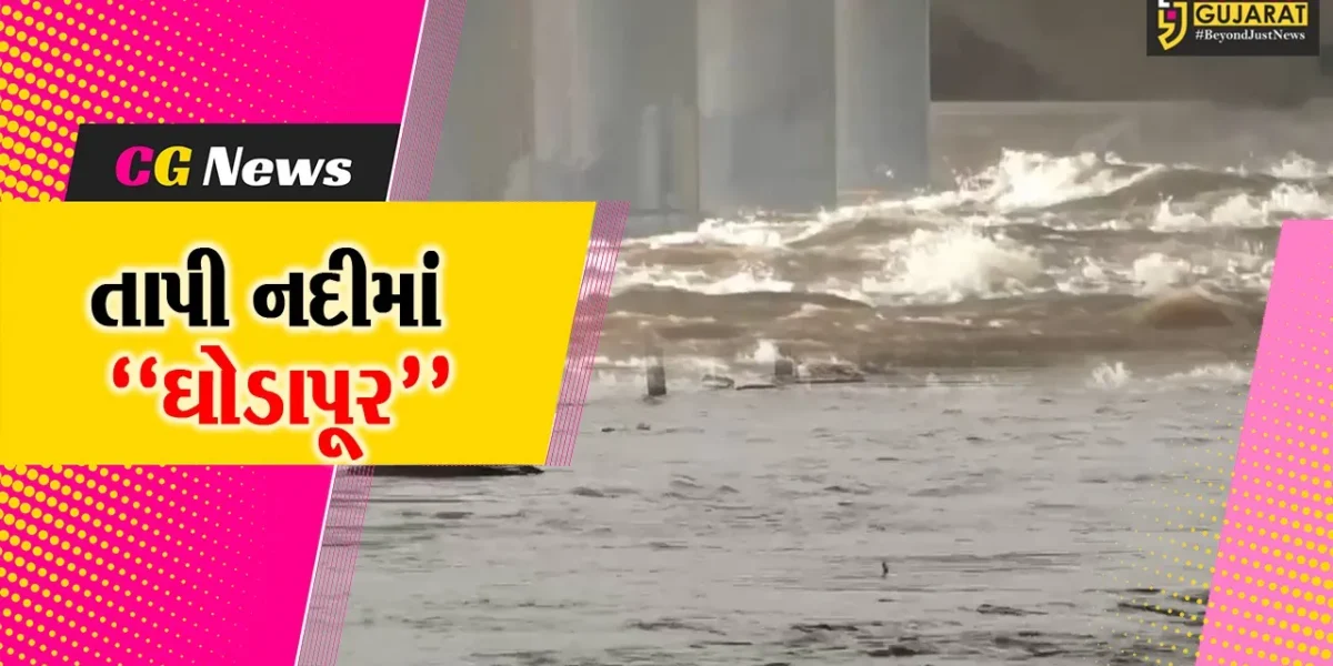 સુરત : પાણીની ભારે આવક થતાં તાપી નદીમાં ઘોડાપૂર આવ્યું, ગટરિયા પૂરની સ્થિતિ સામે તંત્ર સજ્જ