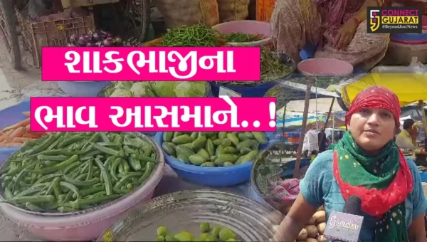 ભરૂચ : વરસાદી અને પૂરના પાણીથી ખેતી-પાકને નુકશાન, શાકભાજીના ભાવમાં વધારો થતાં ગૃહિણીઓનું બજેટ ખોરવાયું