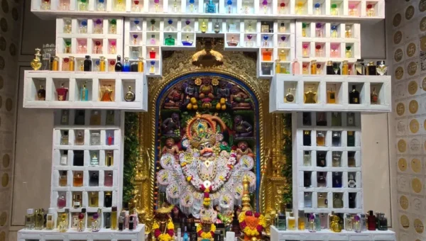 બોટાદ : શ્રાવણ એકાદશી નિમિત્તે શ્રી કષ્ટભંજન દાદાને સિલ્કના વાઘા અને શુદ્ધ અત્તર-પરફ્યુમનો દિવ્ય શણગાર કરાયો…