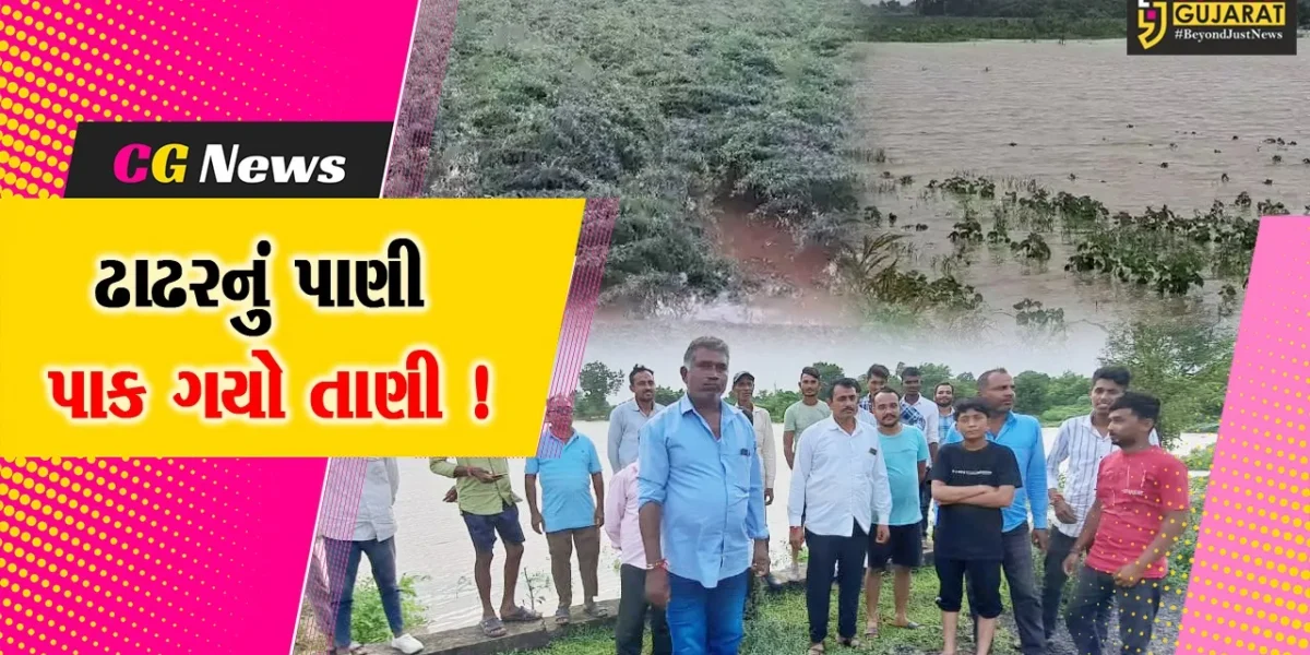 ભરૂચ: આમોદના કાંઠા વિસ્તારના ગામોમાં ઢાઢર નદીના પાણીએ વેર્યો વિનાશ, ખેતીના ઉભા પાકને વ્યાપક નુકશાન