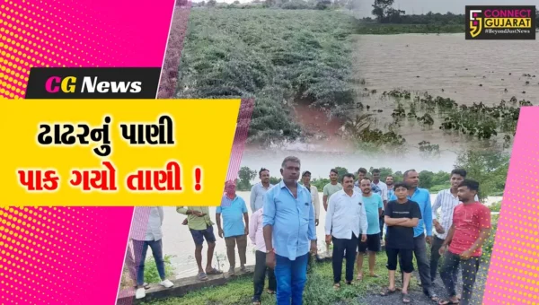 ભરૂચ: આમોદના કાંઠા વિસ્તારના ગામોમાં ઢાઢર નદીના પાણીએ વેર્યો વિનાશ, ખેતીના ઉભા પાકને વ્યાપક નુકશાન