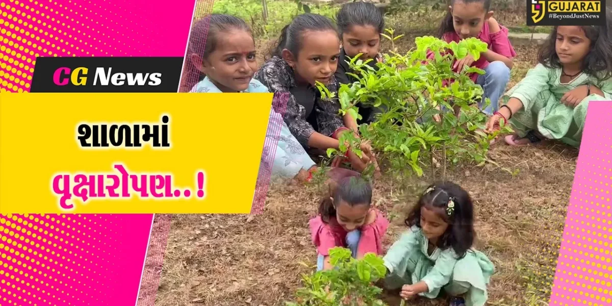 ઉના તાલુકાના પાલડી ગામ ખાતેની શ્રી પાલડી પ્રાથમિક શાળામાં વૃક્ષારોપણ કરવામાં આવ્યું