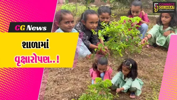 ઉના તાલુકાના પાલડી ગામ ખાતેની શ્રી પાલડી પ્રાથમિક શાળામાં વૃક્ષારોપણ કરવામાં આવ્યું