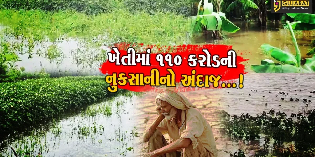 ભરૂચમાં ભારે વરસાદ અને નર્મદા નદીમાં પૂરથી 1.18 લાખ હેક્ટર જમીન પરની ખેતીને નુકસાન
