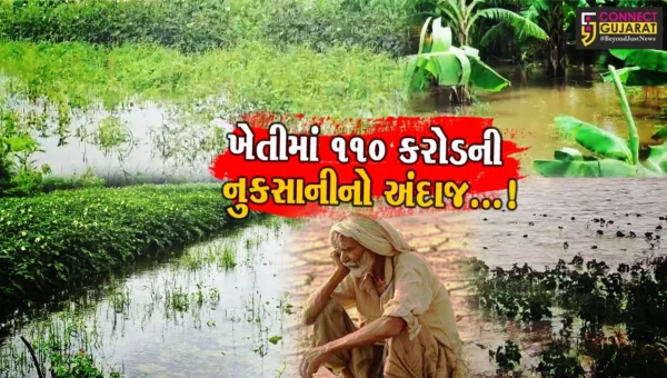 ભરૂચમાં ભારે વરસાદ અને નર્મદા નદીમાં પૂરથી 1.18 લાખ હેક્ટર જમીન પરની ખેતીને નુકસાન