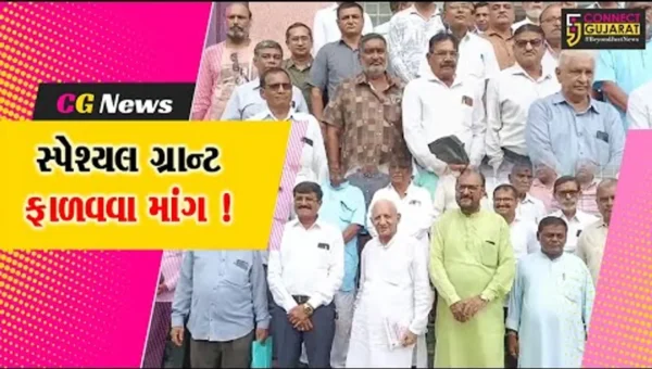 ભરૂચ: ફાયર સેફટી માટે સ્પેશ્યલ ગ્રાન્ટ ફાળવવા માંગ, શાળા સંચાલક મંડળે કલેકટરને પાઠવ્યુ આવેદનપત્ર