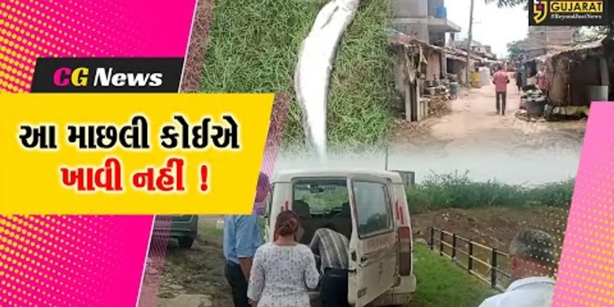 ભરૂચ: વિલાયત નજીકથી પસાર થતી ભૂખી ખાડીમાં રહસ્યમય રીતે અસંખ્ય માછલીના મોતથી ફફડાટ