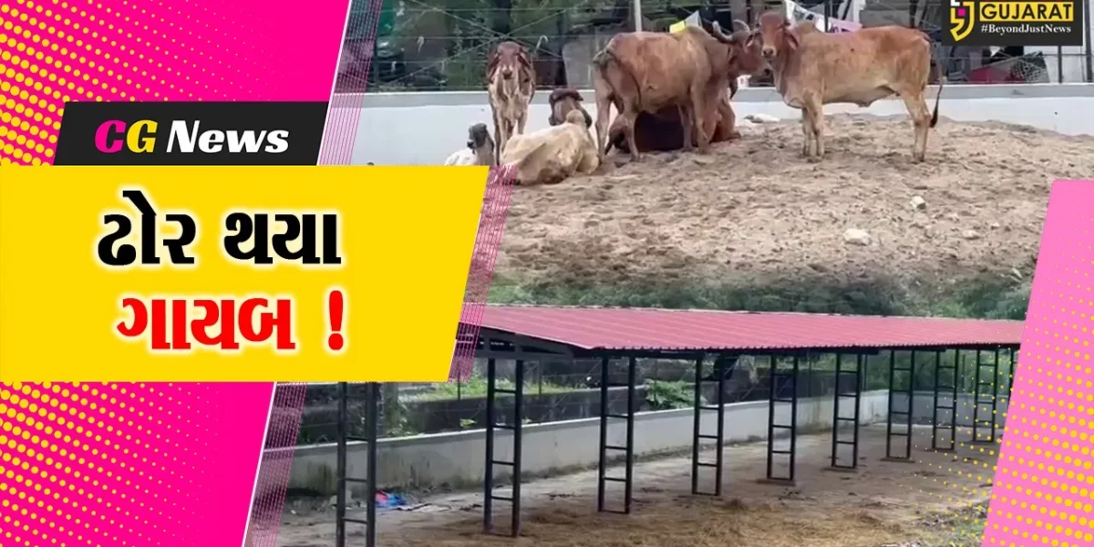 અંકલેશ્વર ઢોર ડબ્બામાંથી 20 ઢોરને ભગાડી લઈ જવાયા, પોલીસ મથકે અરજી અપાય
