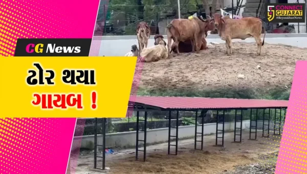 અંકલેશ્વર ઢોર ડબ્બામાંથી 20 ઢોરને ભગાડી લઈ જવાયા, પોલીસ મથકે અરજી અપાય