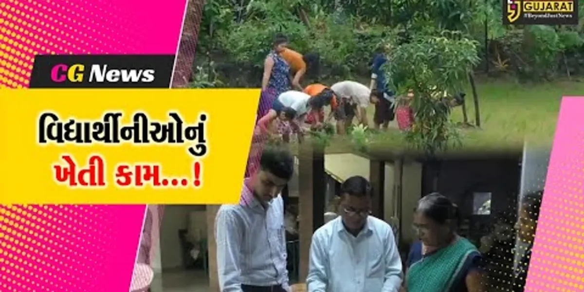 નવસારી: વાંસદાના ઘોડમાળ ગામમાં વિદ્યાર્થીનીઓનો ડાંગરના ખેતરમાં કામ કરતો વિડીયો વાયરલ