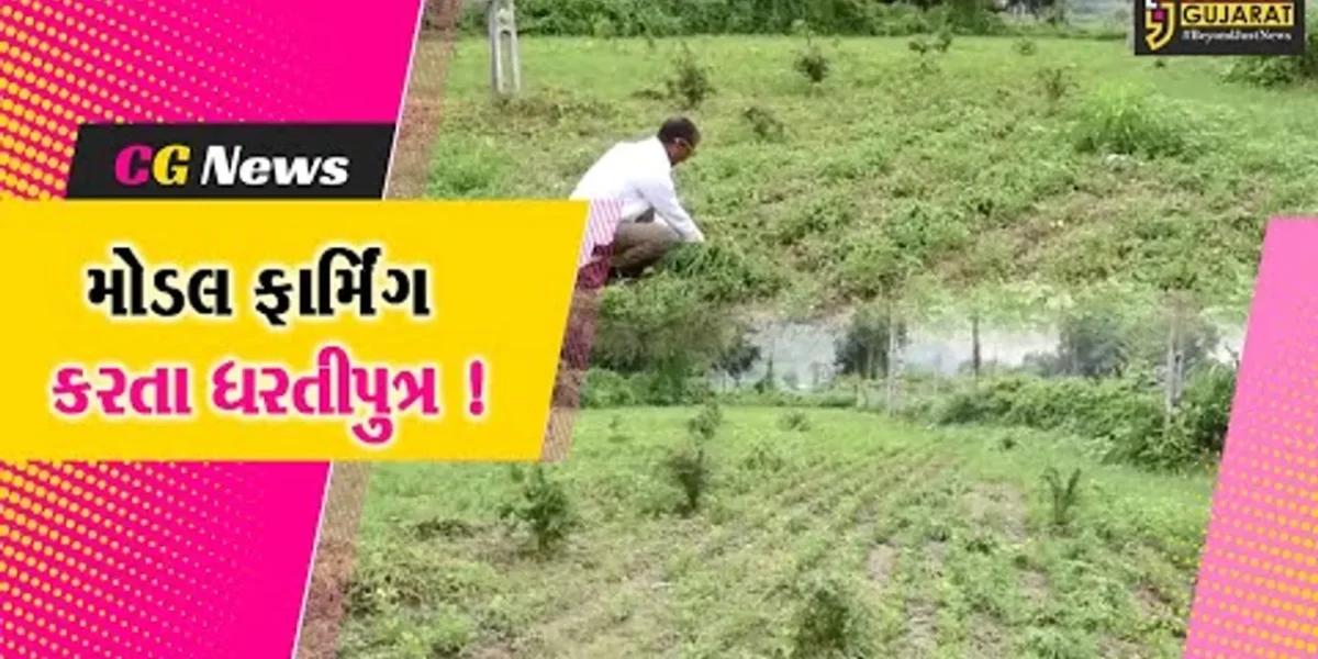 સાબરકાંઠા: દાંતીયા ગામના ખેડૂત પ્રાકૃતિક ખેતી સાથે મોડલ ફાર્મિંગ તરફ વળ્યા,અન્ય ખેડૂતોને પણ આપે છે સમજ