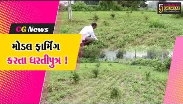 સાબરકાંઠા: દાંતીયા ગામના ખેડૂત પ્રાકૃતિક ખેતી સાથે મોડલ ફાર્મિંગ તરફ વળ્યા,અન્ય ખેડૂતોને પણ આપે છે સમજ
