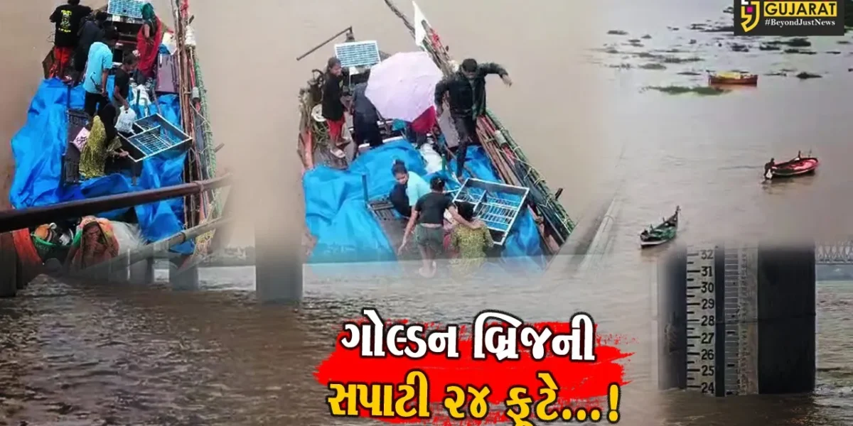 ભરૂચ ગોલ્ડન બ્રિજ નજીક નર્મદા નદીની જળ સપાટી 24 ફૂટે, કબીરવડમાં લોકોએ સ્થળાંતર કર્યું